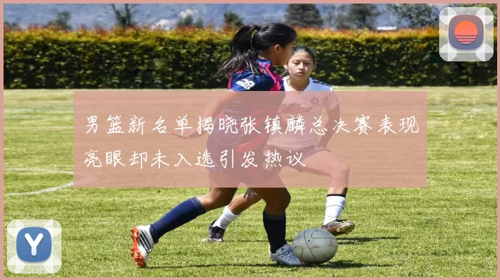 男篮新名单揭晓张镇麟总决赛表现亮眼却未入选引发热议