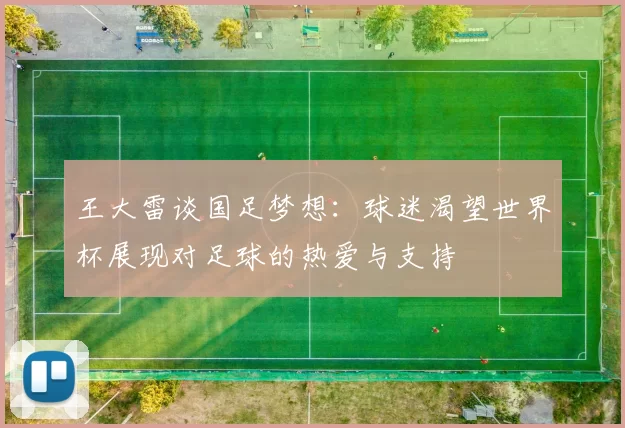 王大雷谈国足梦想：球迷渴望世界杯展现对足球的热爱与支持